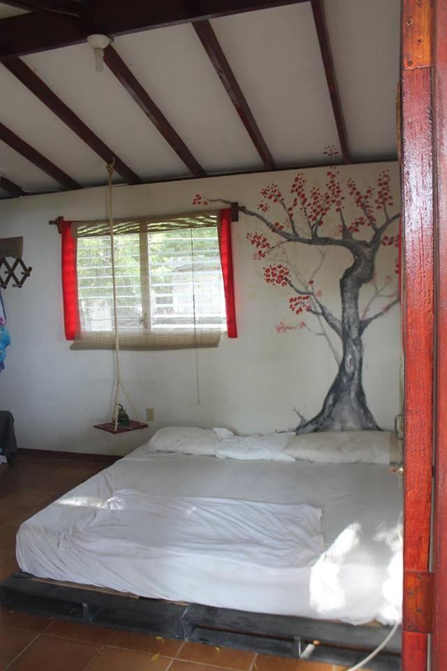 Free Spirit Hostel Transito Kültér fotó